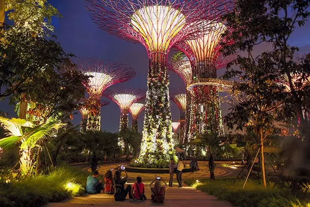 Gardens by the Bay העתיד של הגינון בסינגפור