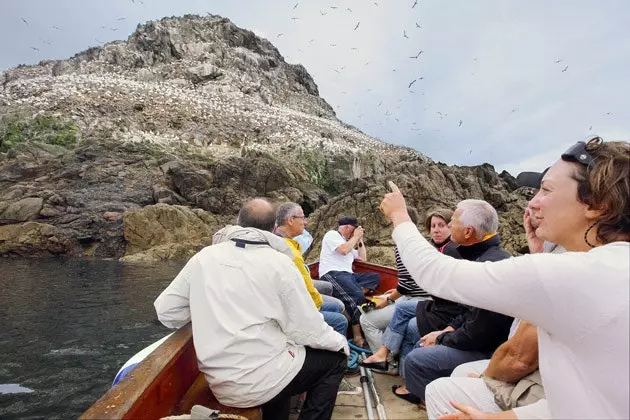 Gannet Bono orolini qamrab oldi