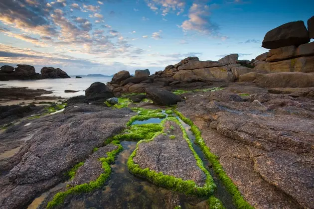 Pink Granit Coast