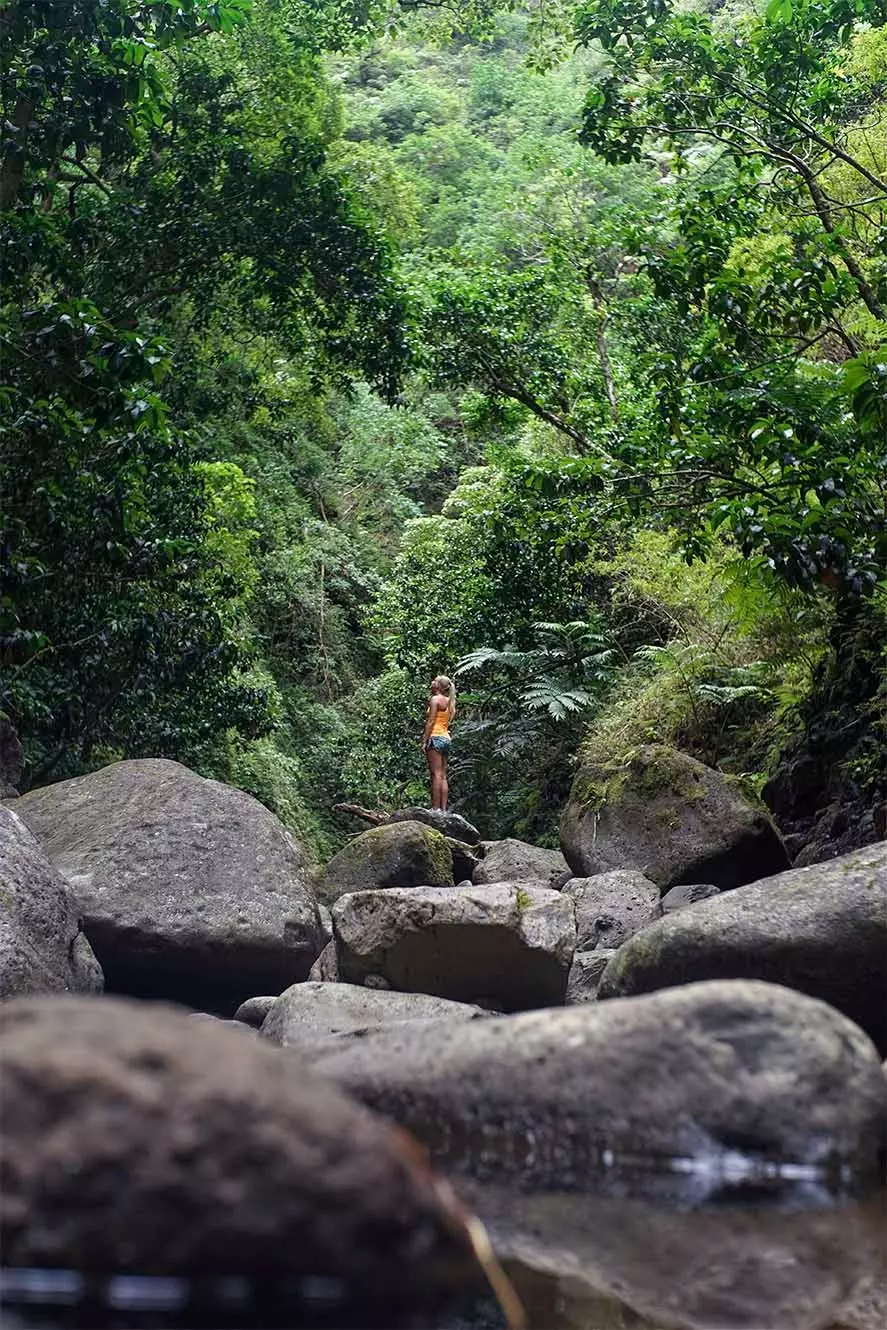 menina na selva