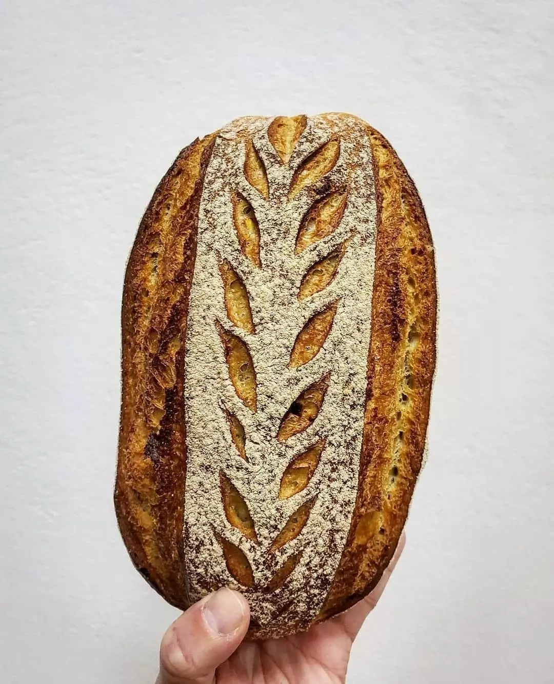 Payoya geitost tritordeum med infiltrasjoner av honning Baetica mulsum vin og pistasjnøtter.