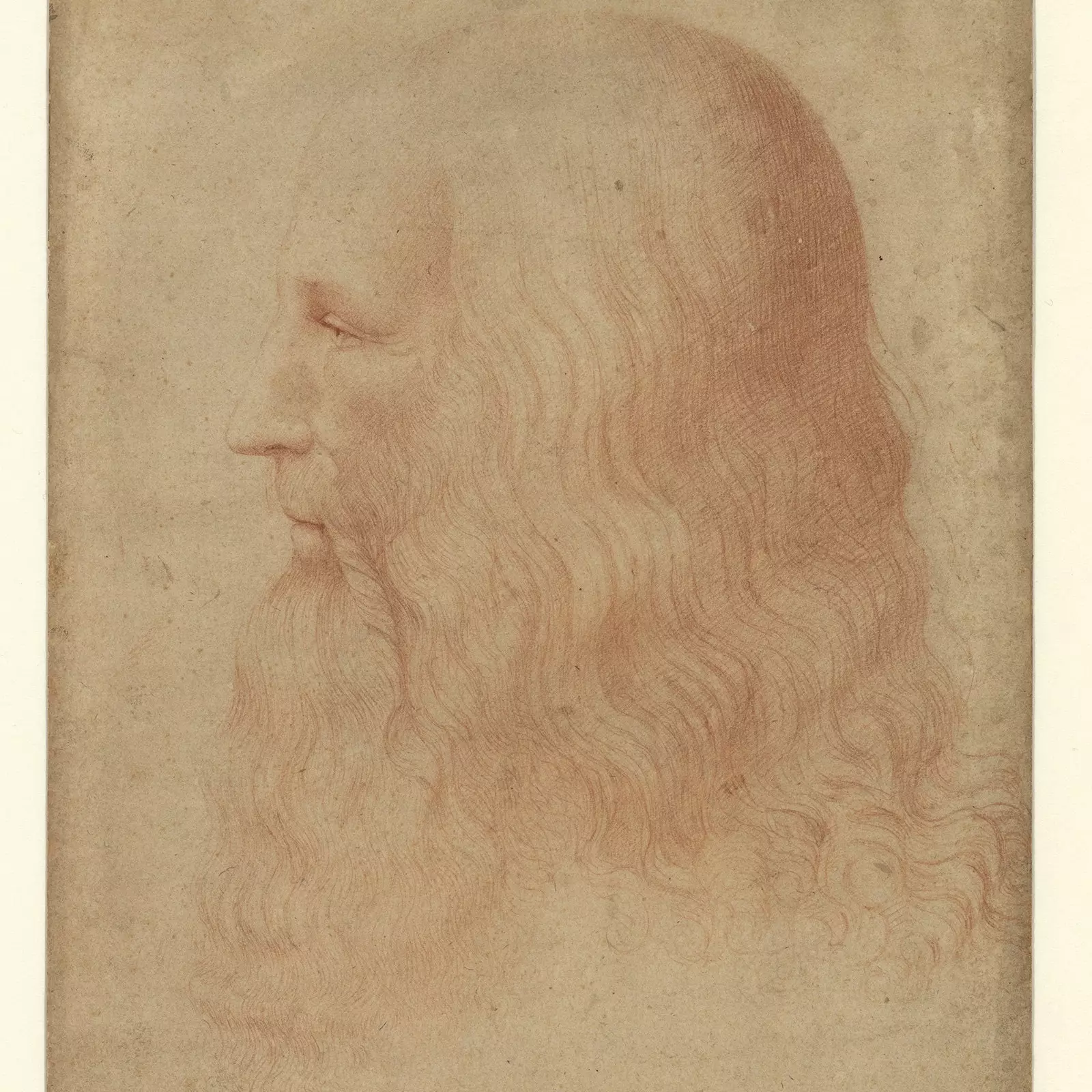 Portráid de Da Vinci curtha i leith Francesco Melzi.