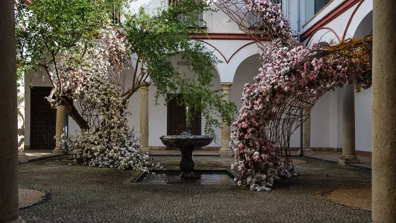 'Trepidante', blomsterinstallasjonen som revolusjonerer Córdoba