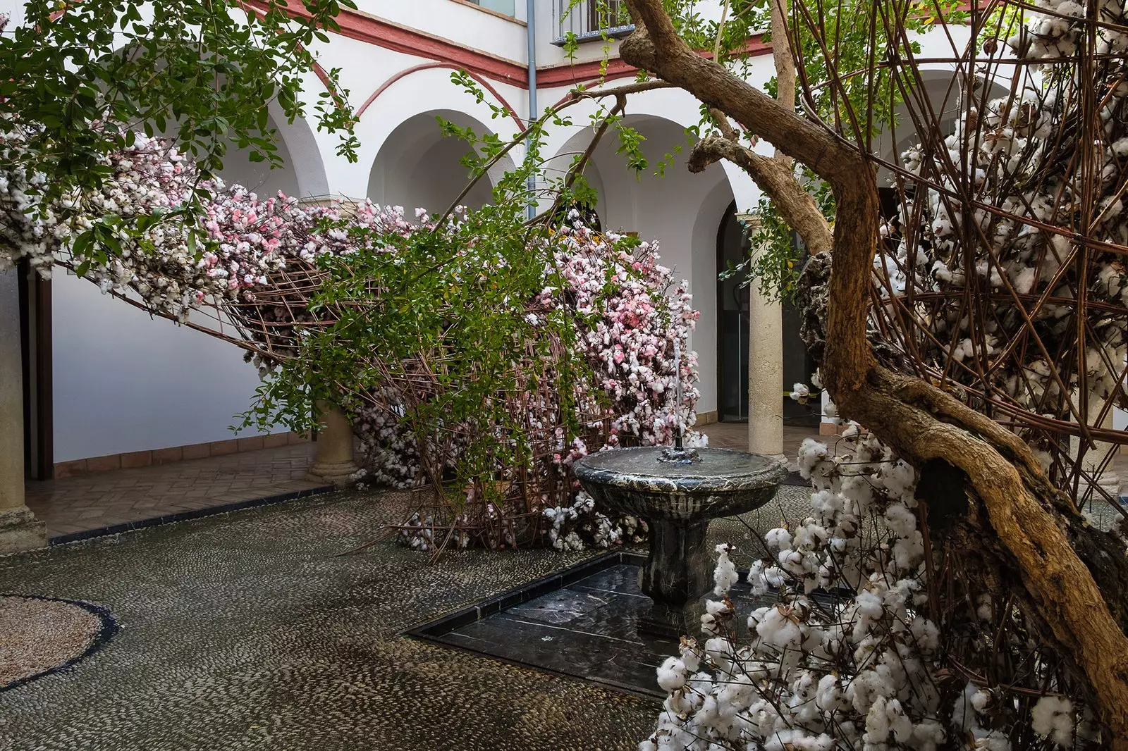 'Excitant' l'installation florale qui révolutionne Cordoue