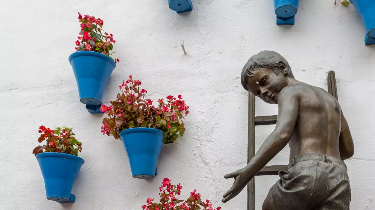 The photos of the courtyards of Córdoba in 2018