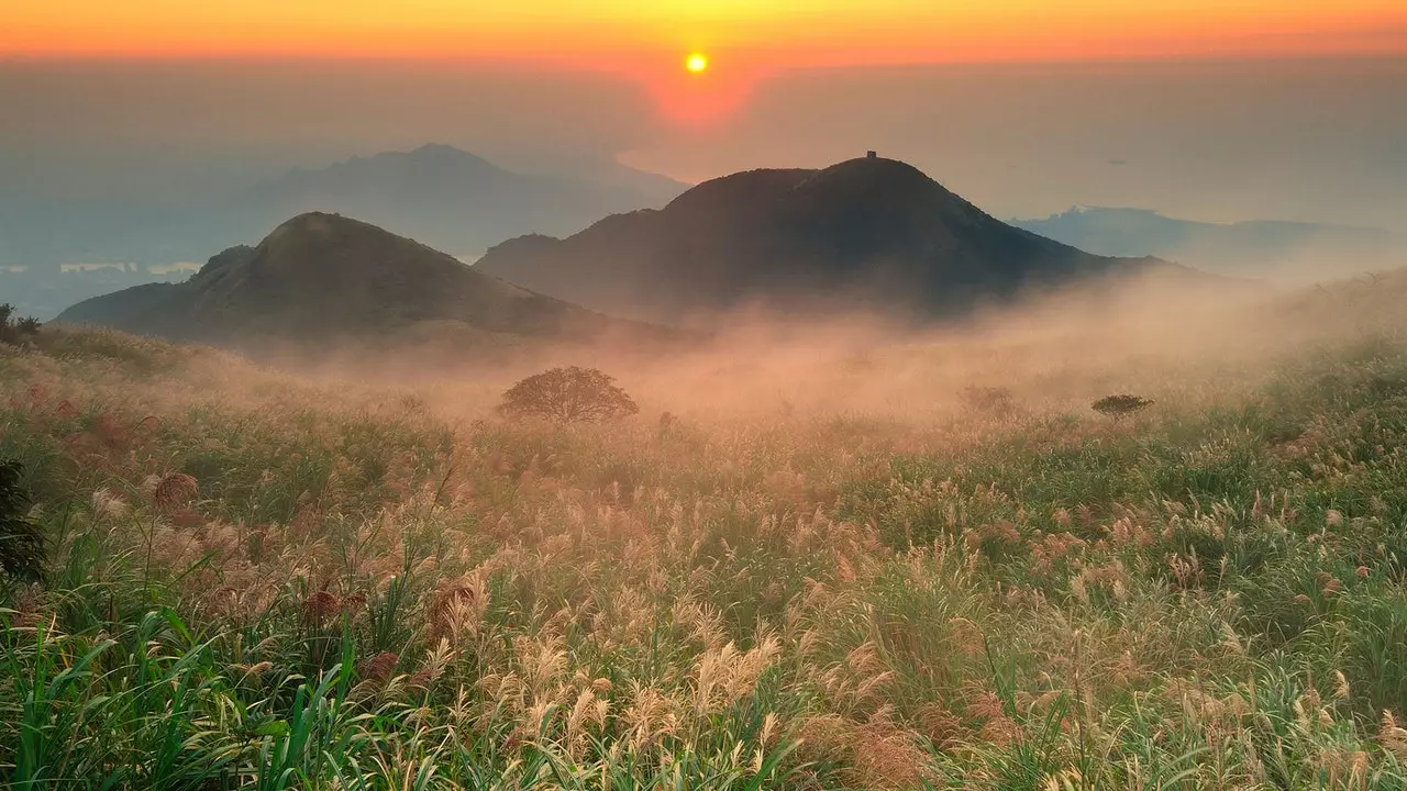 Den éischte rouege urbane Park vun der Welt ass an Taiwan