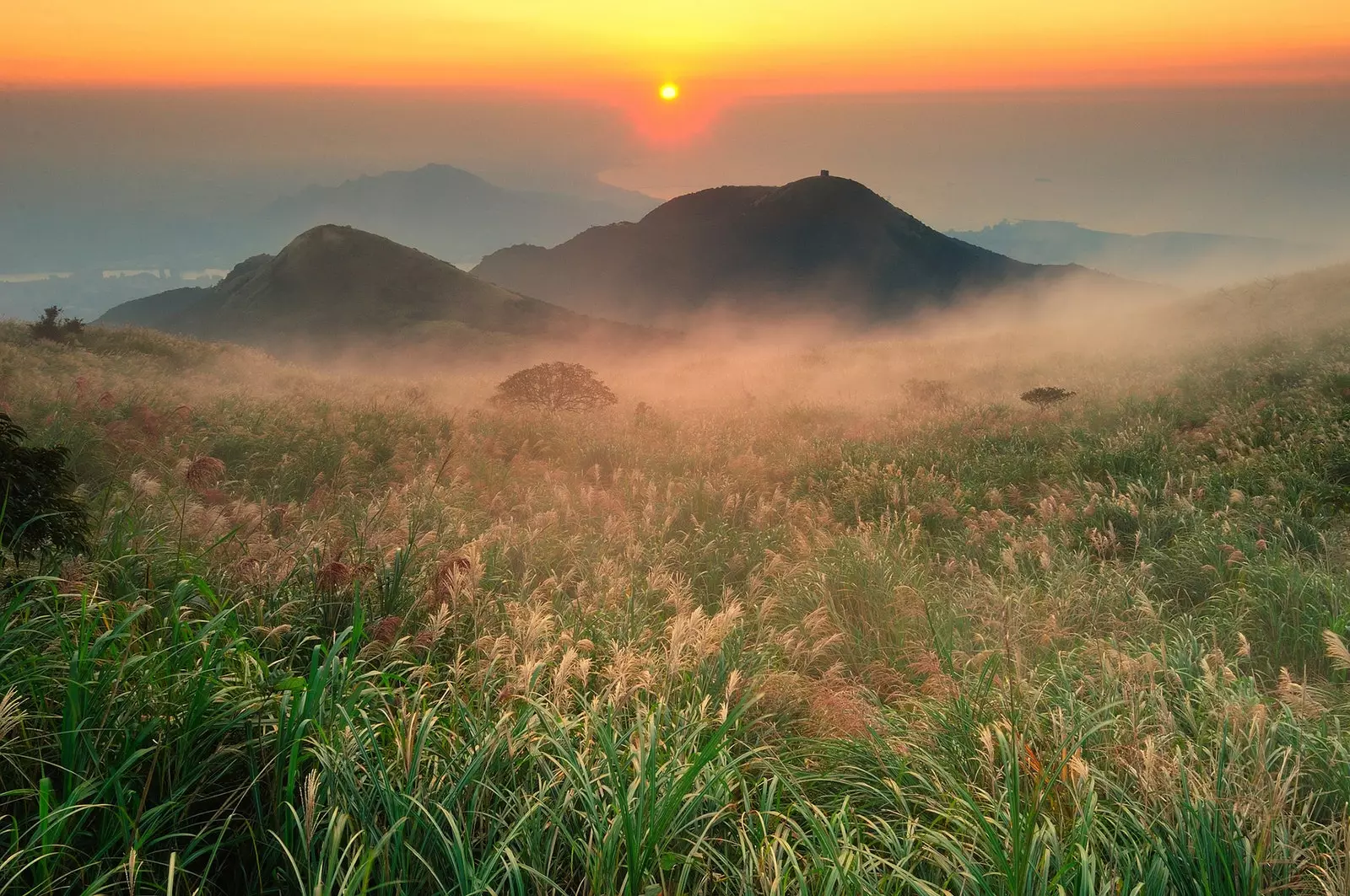 Hifadhi ya Kitaifa ya Yangmingshan Taipi Taiwan