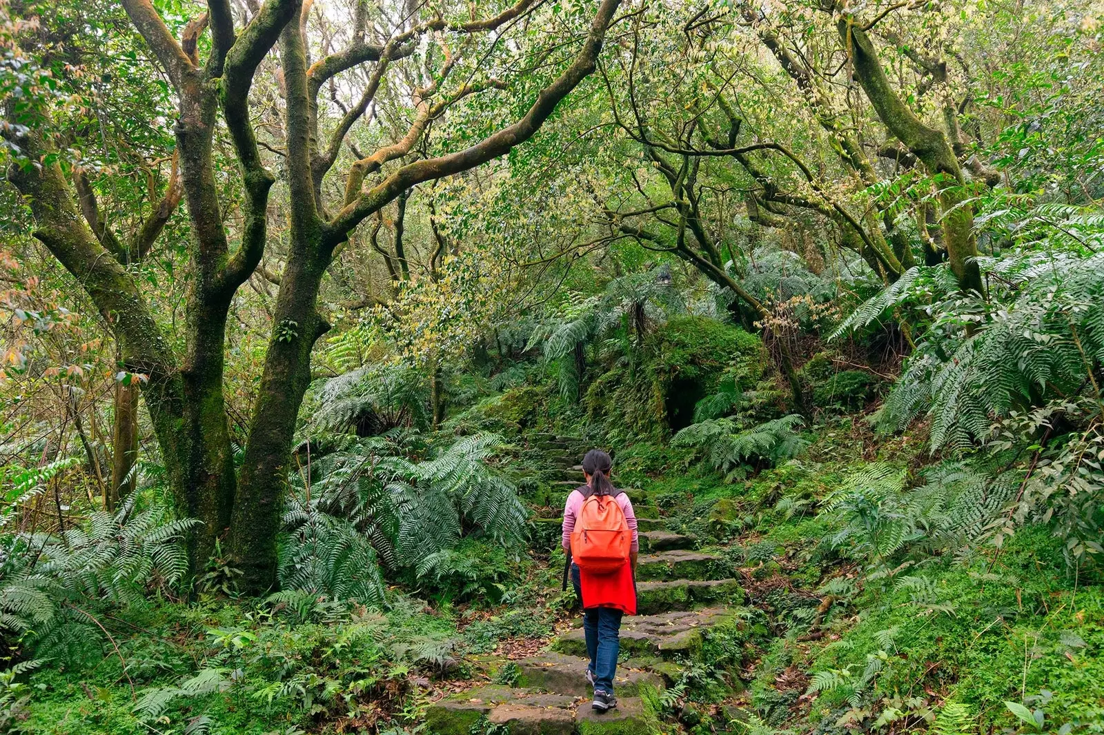 Yangmingshan þjóðgarðurinn Taipi Taívan