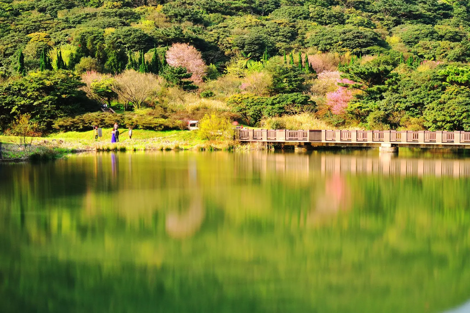 Parcul Național Yangmingshan Taipi Taiwan