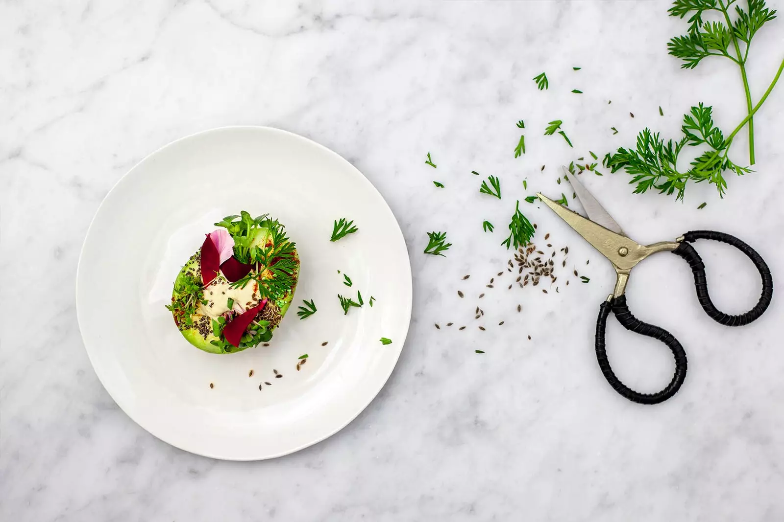 Amsterdam'da avokado restoranı Avocado Show zafer kazandı