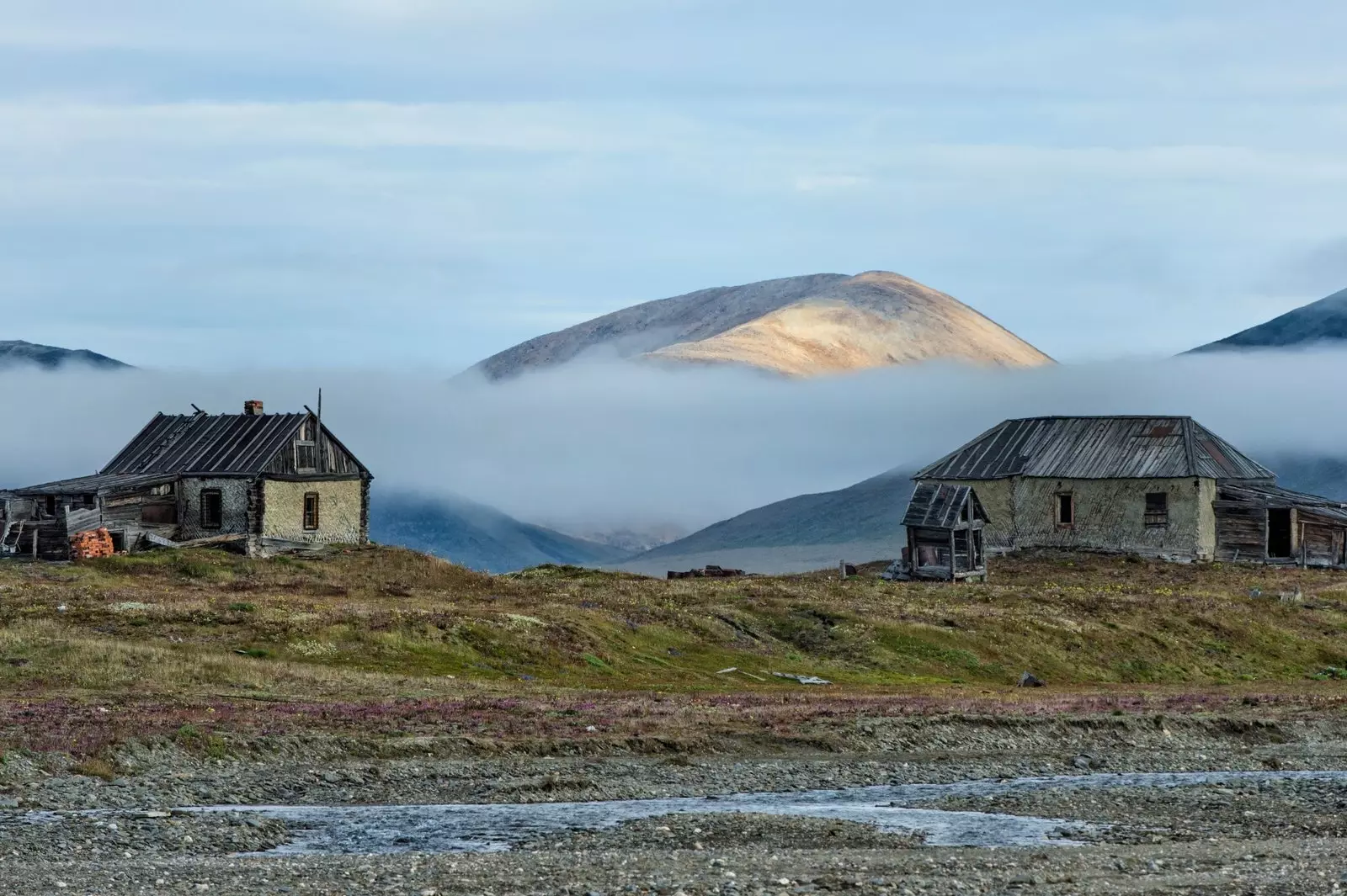 Wrangel Island는 이것만큼 멋진 엽서를 제공합니다.