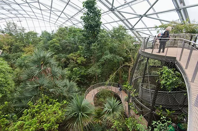 L'Orto Botanico di Zurigo