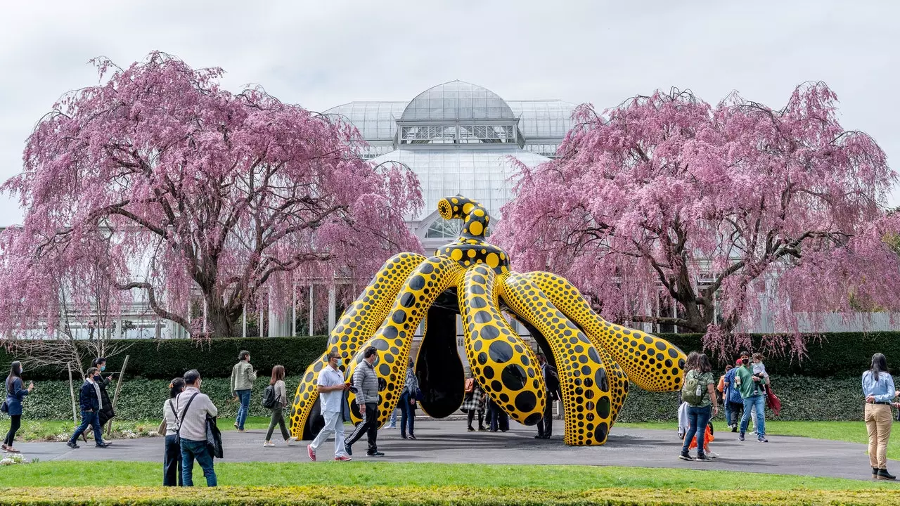 Tá Nua-Eabhrac líonta le dathanna agus poncanna polca Yayoi Kusama