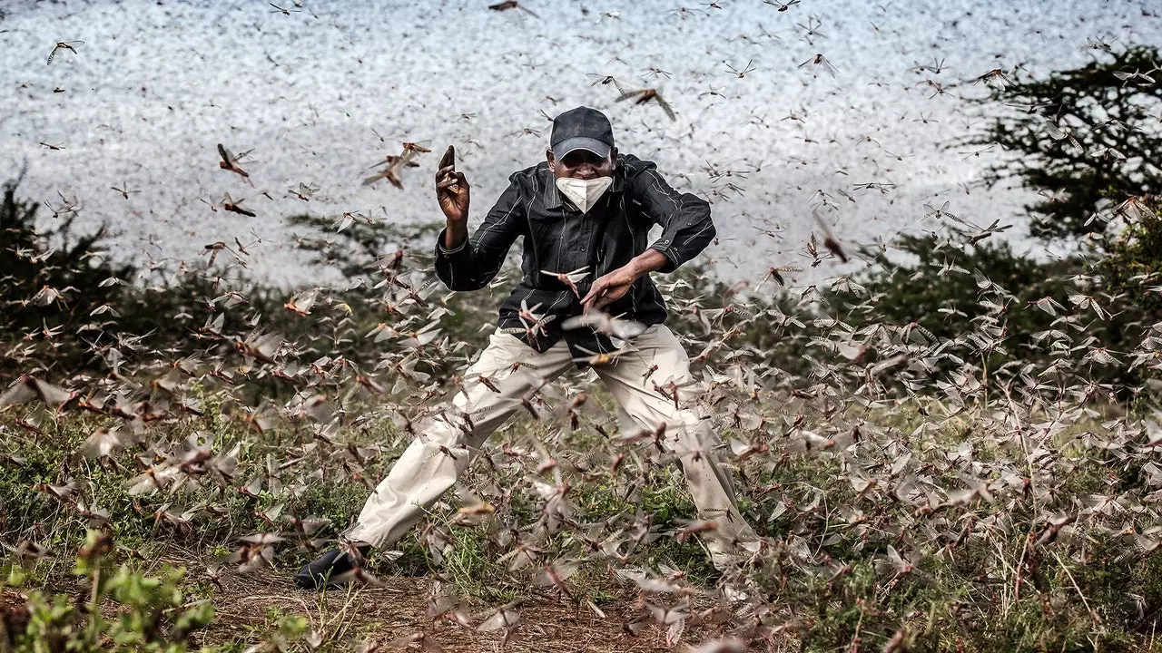 Um fotógrafo espanhol nomeado para World Press Photo of the Year