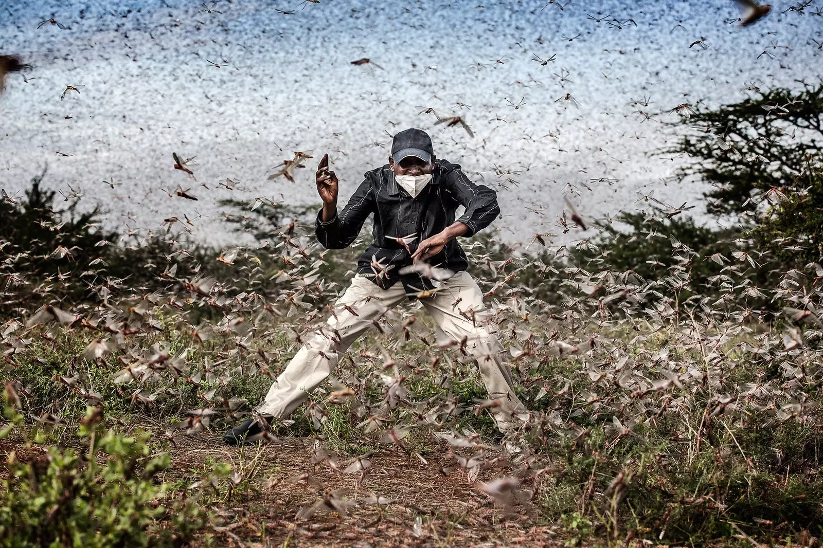 Fighting Locust Invasion in East Africa av Luis Tato