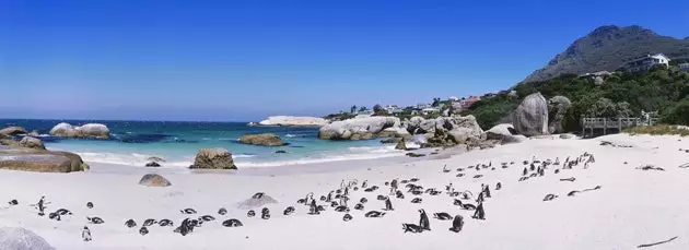 Boulders Beach