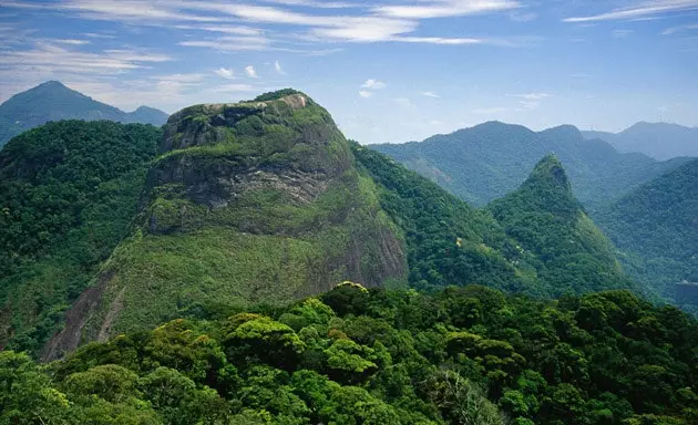 Tijuca nacionalinis parkas Rio de Žaneiras