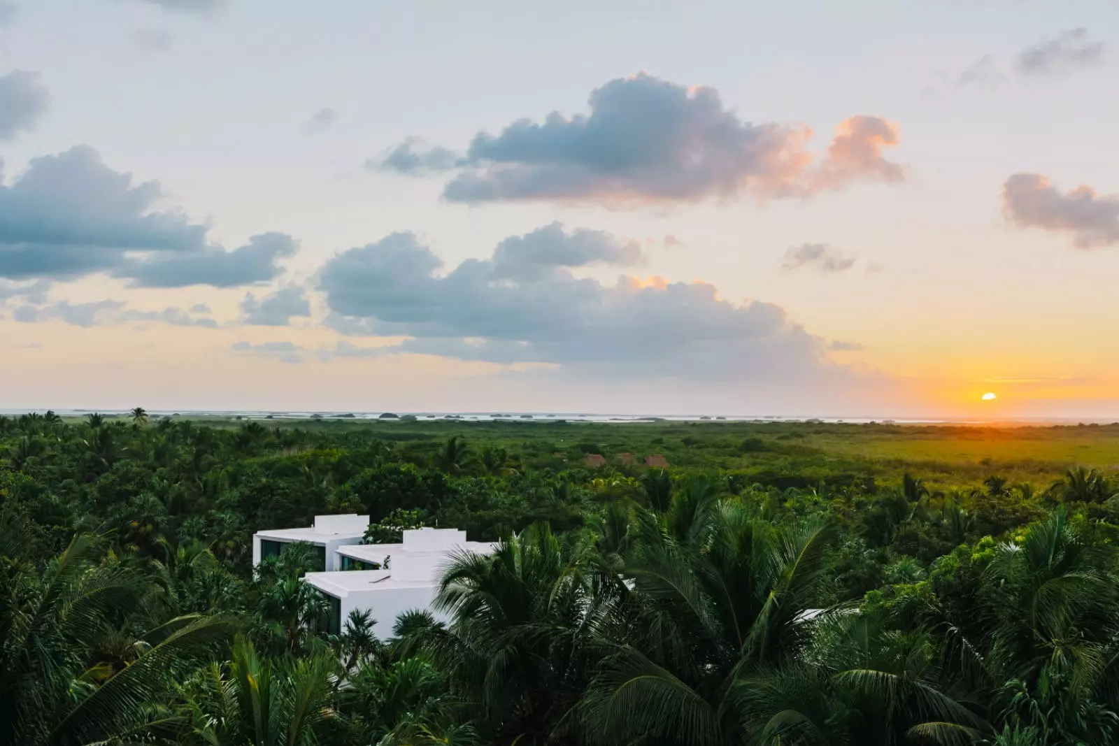 Quang cảnh rừng rậm Mexico.