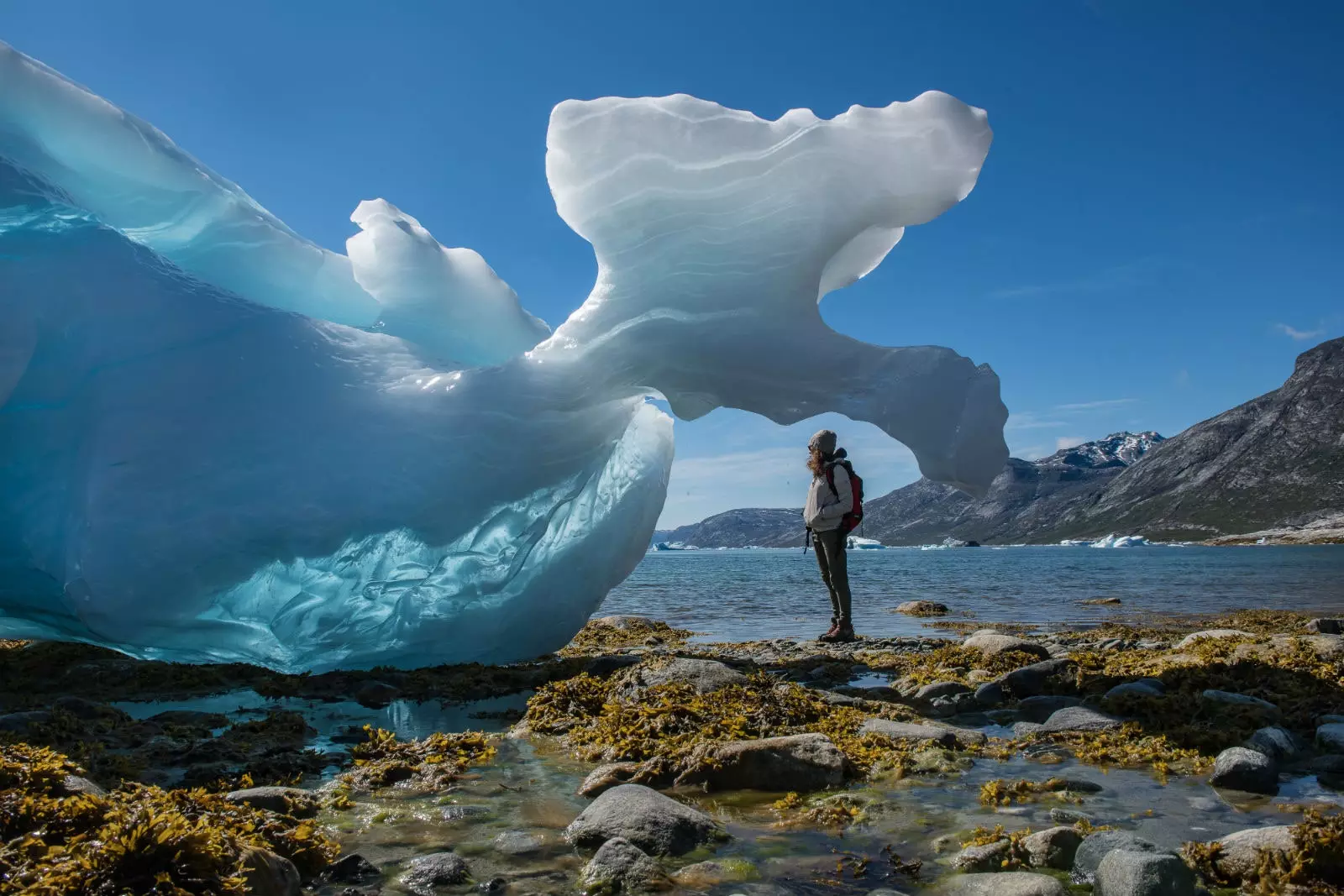 A route through the icebergs of the Arctic.