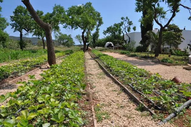 Finca Can Musón