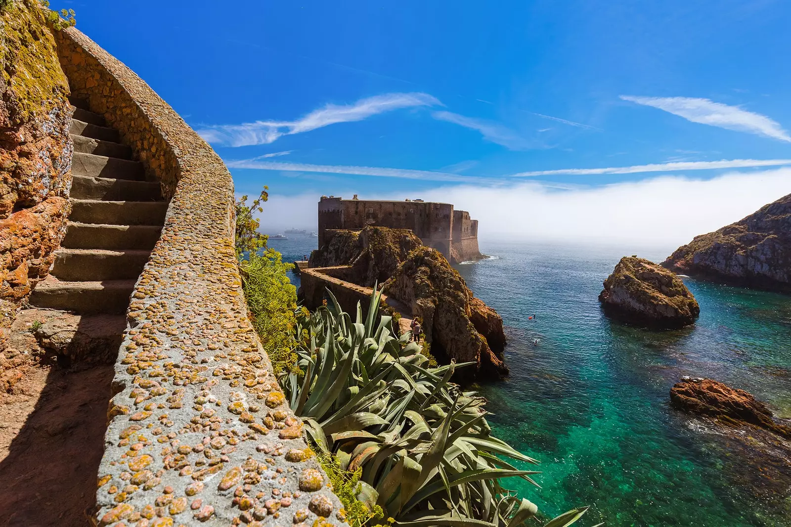 Berlengas Islands paradiset i Portugal som du fortfarande inte känner