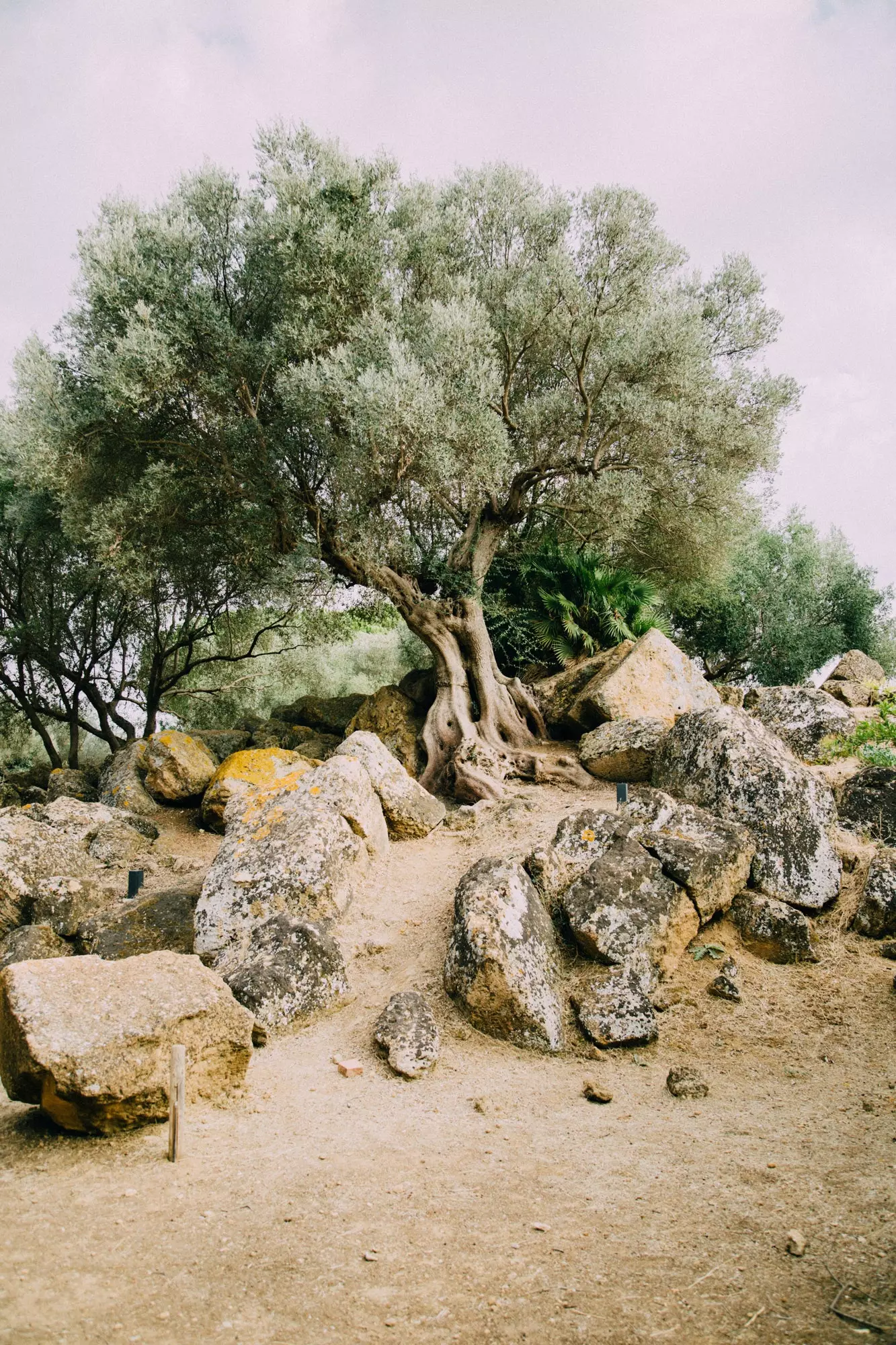 Agrigento