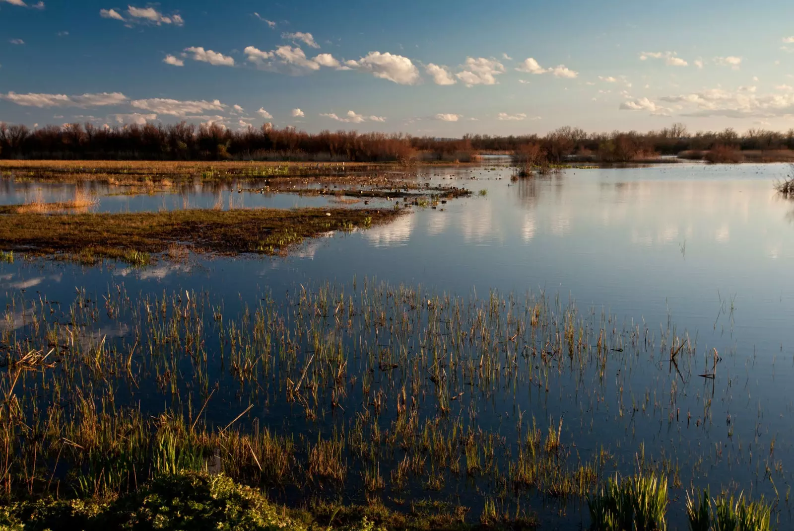 l'Empordà Catalonia ၏ Aiguamols ၏သဘာဝဥယျာဉ်