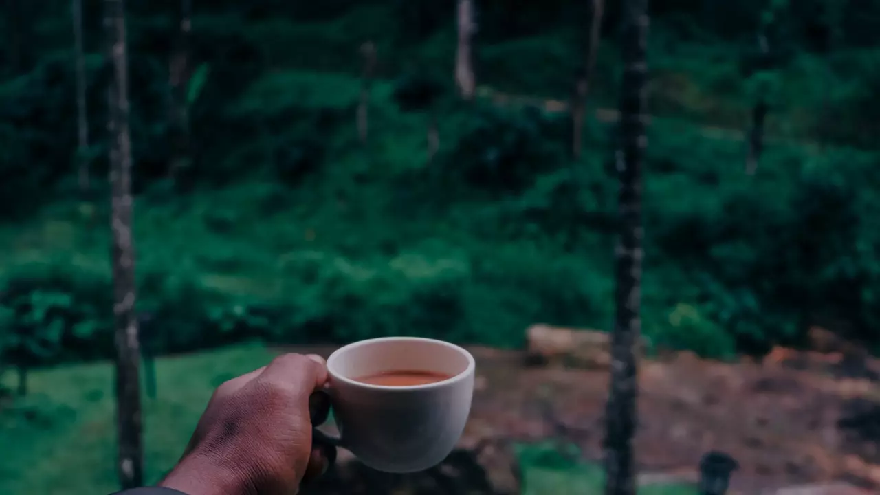 Os acessórios essenciais para desfrutar de uma chávena de café onde quer que esteja