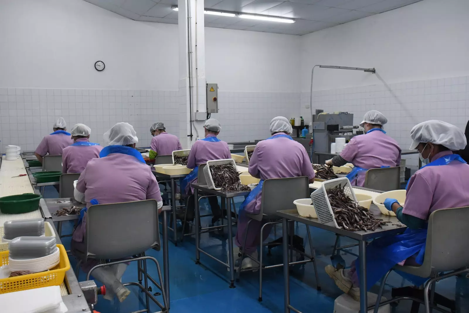 Femmes pétrissant l'anchois L'Escala.