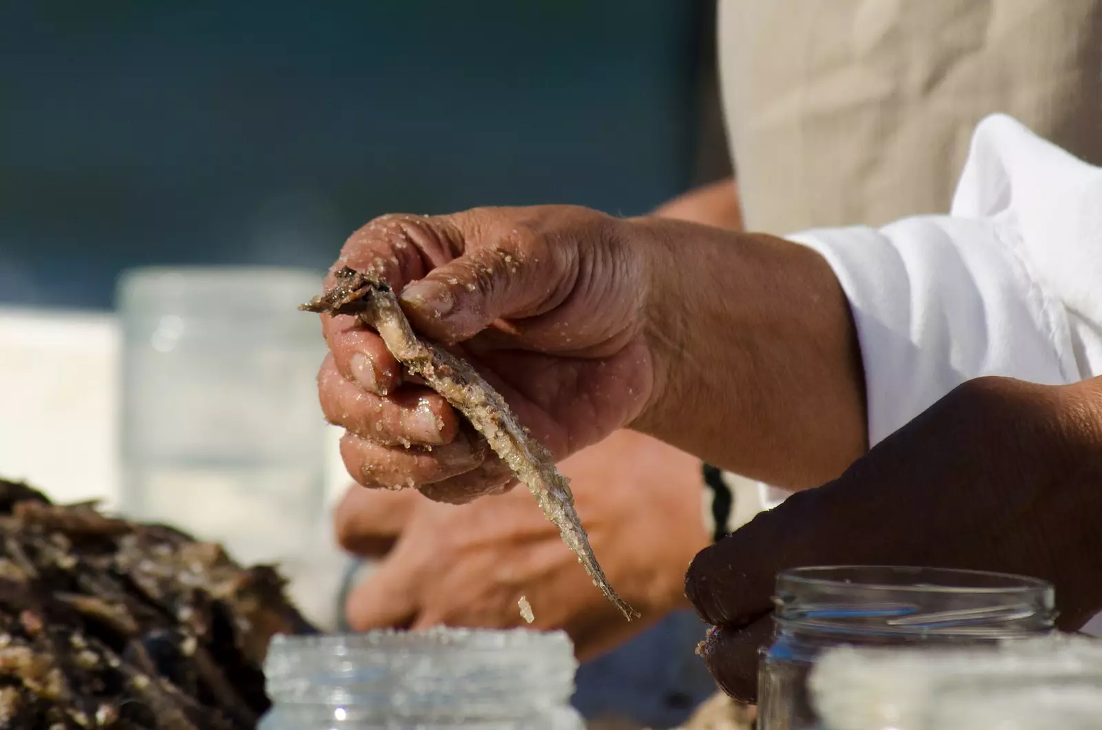 Virbereedung vun L'Escala Anchovy.