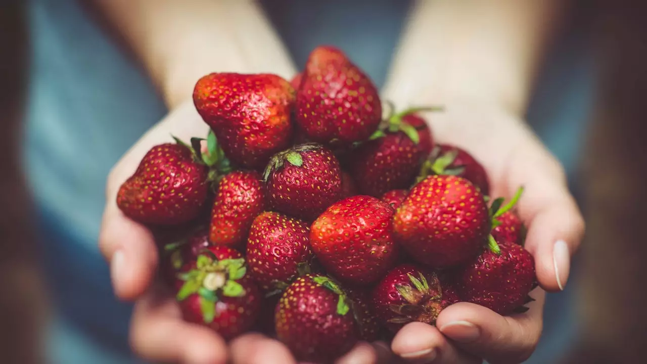 Sürdürülebilir gastronomi Madrid'deki COP25'te tartışıldı