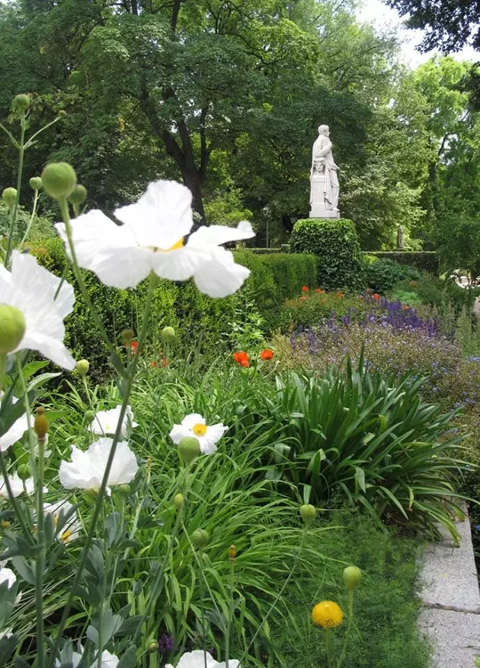 Koninklijke Botanische Tuin