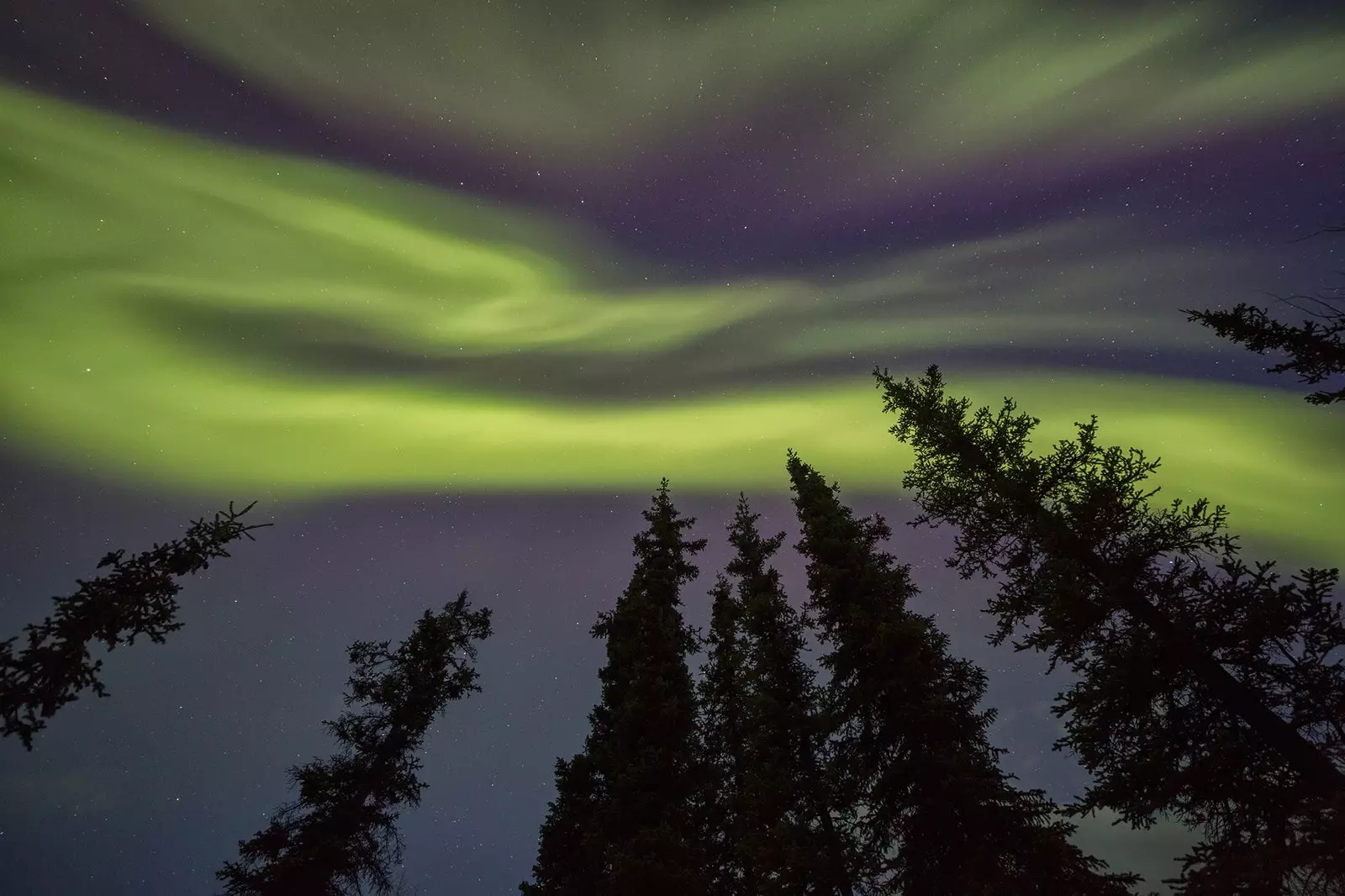 Vrei să zbori printre aurora boreală? Această experiență o face posibil