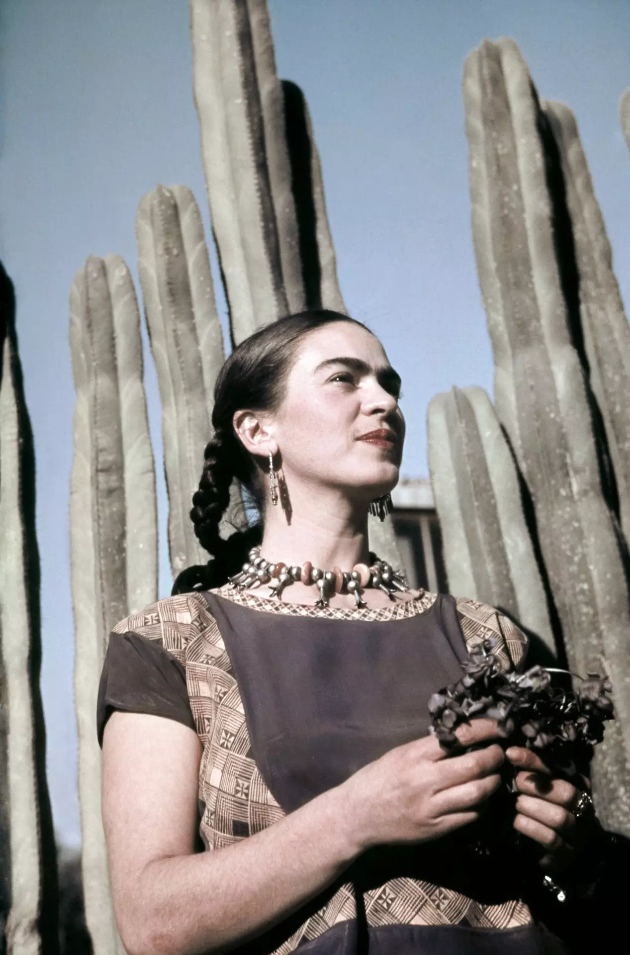 Frida ble født i Coyoacán, Mexico City, i 1907.