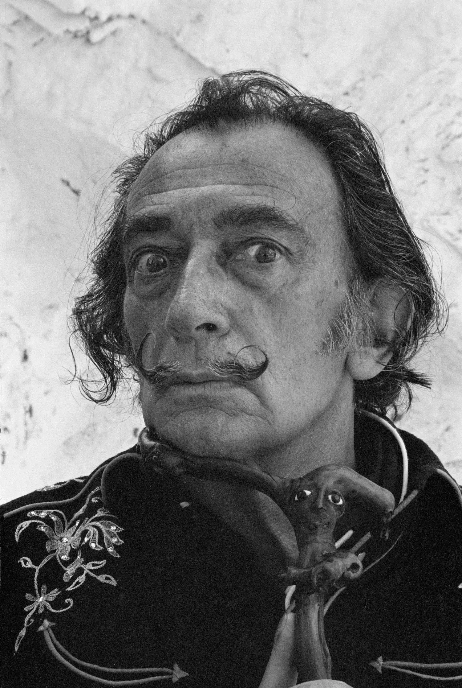 L'un des 27 portraits réalisés par Robert Whitaker de Dalí et qui composent l'exposition 'Salvador Dalí. Robert...