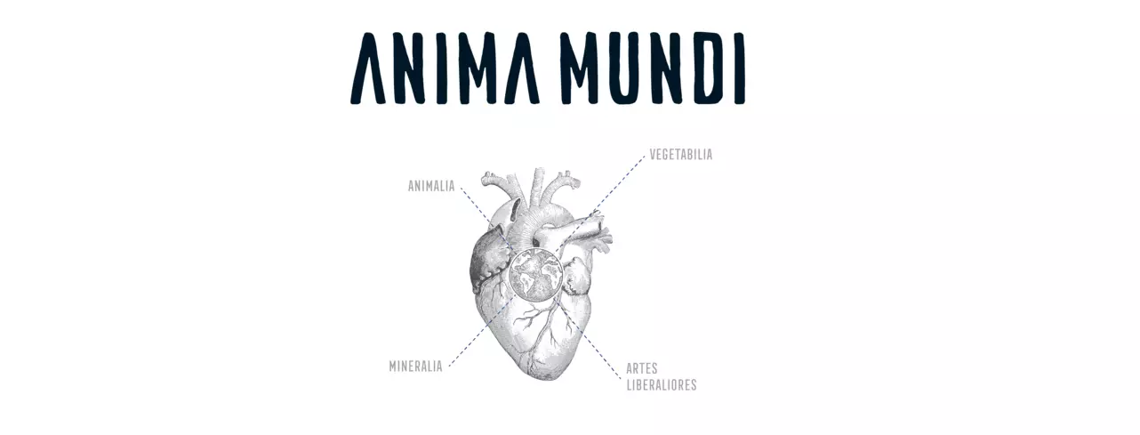 Anima Mundi