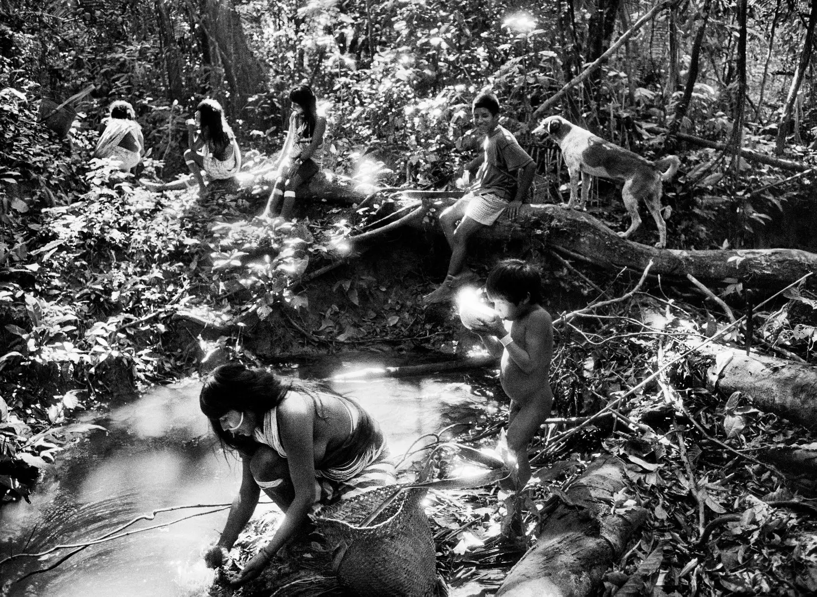 Amazonia fotograf Sebastião Salgadoning buyuk ko'rgazmasi Avignonga etib keldi