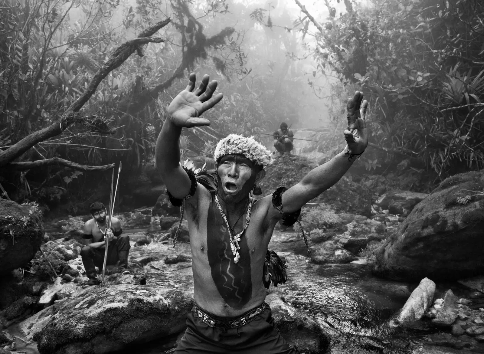 Yanomami shaman í helgisiði á Pico da Neblina État dAmazonas Brsil 2014.