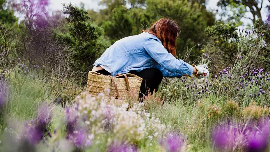 Bellas de pueblo: Spaanse cosmetica die ons naar het platteland brengt