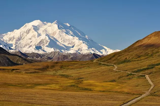 Դենալի