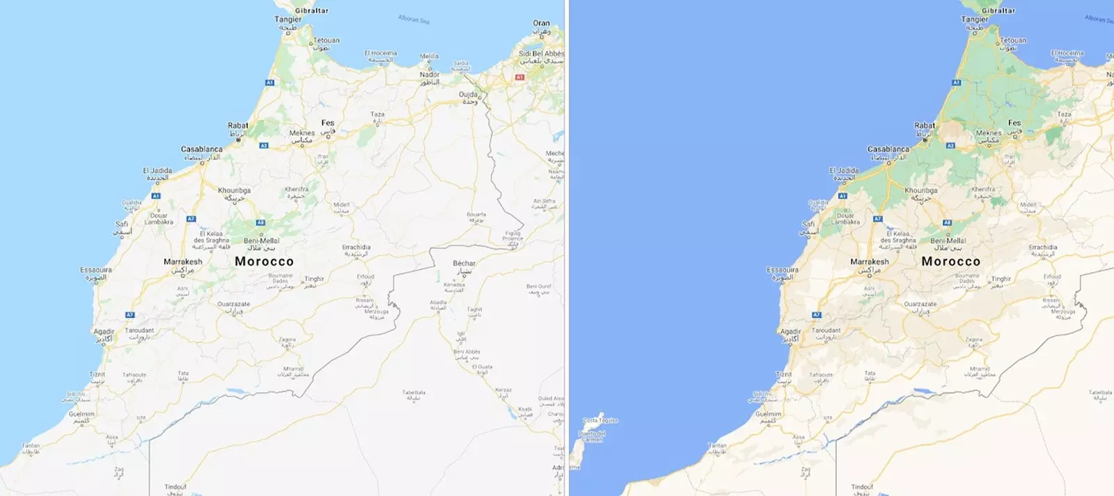 El nord del Marroc es perfila com una zona carregada de vegetació.