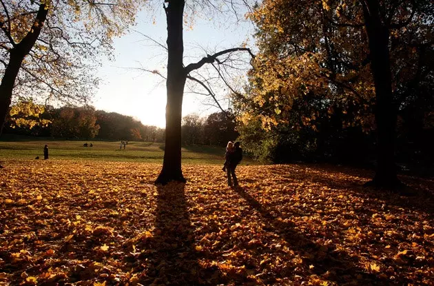 „Prospect Park“ yra labiausiai pažįstamas ir mažiausiai perpildytas pasirinkimas