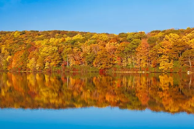 Bear Mountain State Park ეს არის მანჰეტენიდან ერთი საათის მანძილზე