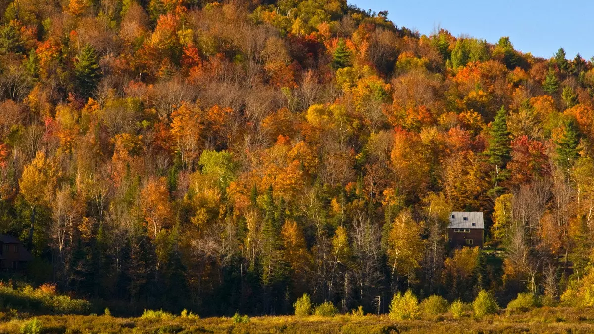 Téigh ar strae i Vermont agus tóg an bóthar níos lú taistil más féidir leat