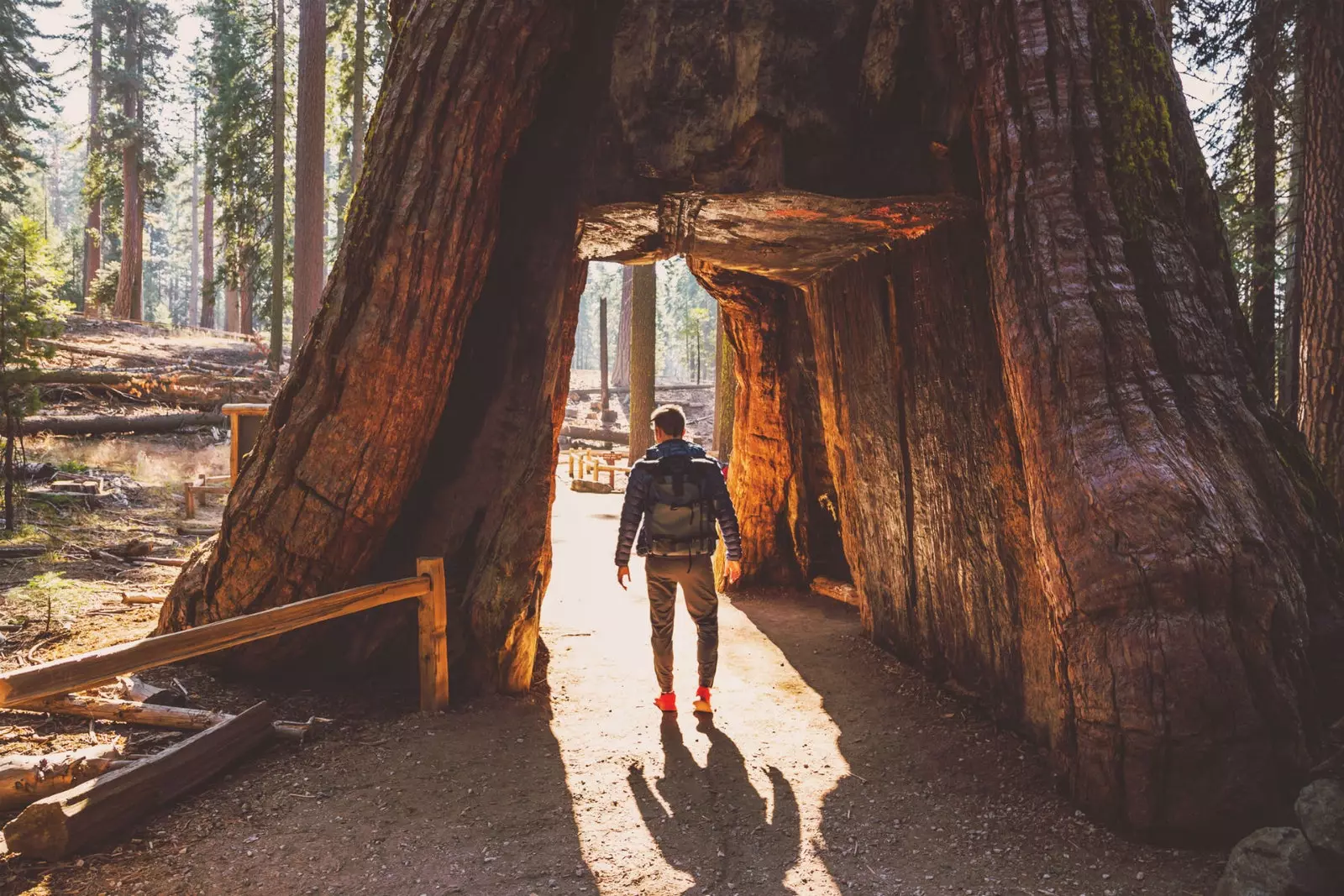 Yosemite Nemzeti Park.