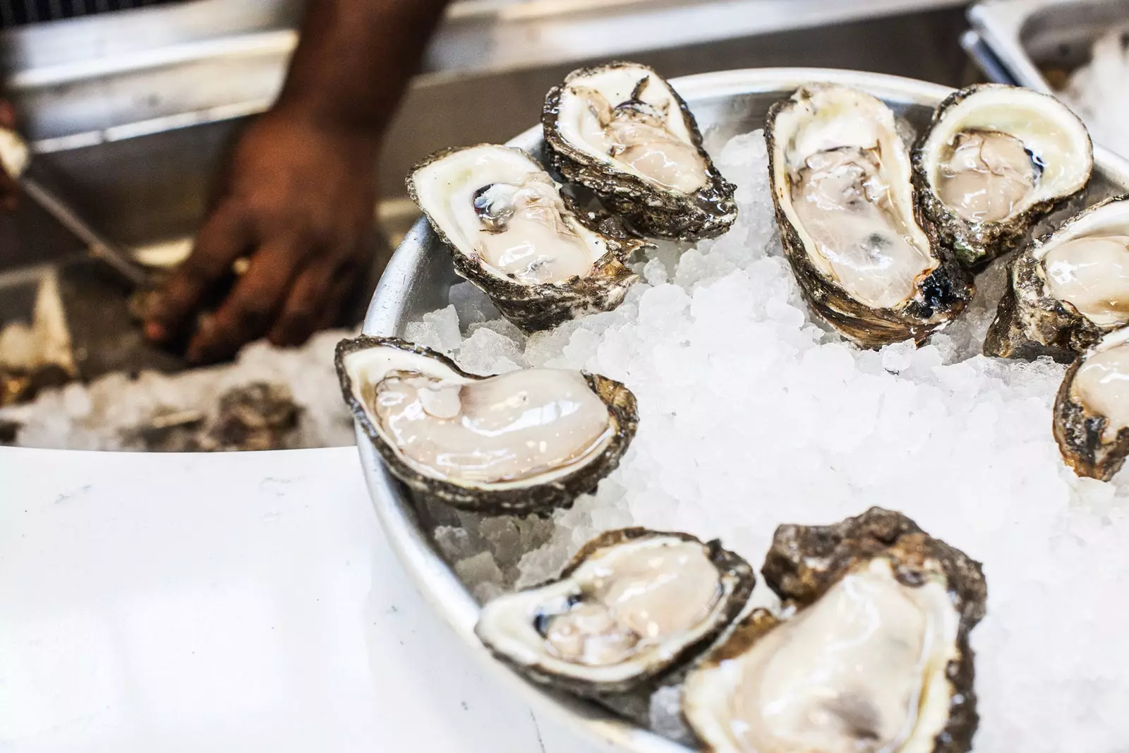 Wat te zien, wat te doen en wat te eten in de trendy wijk van Miami