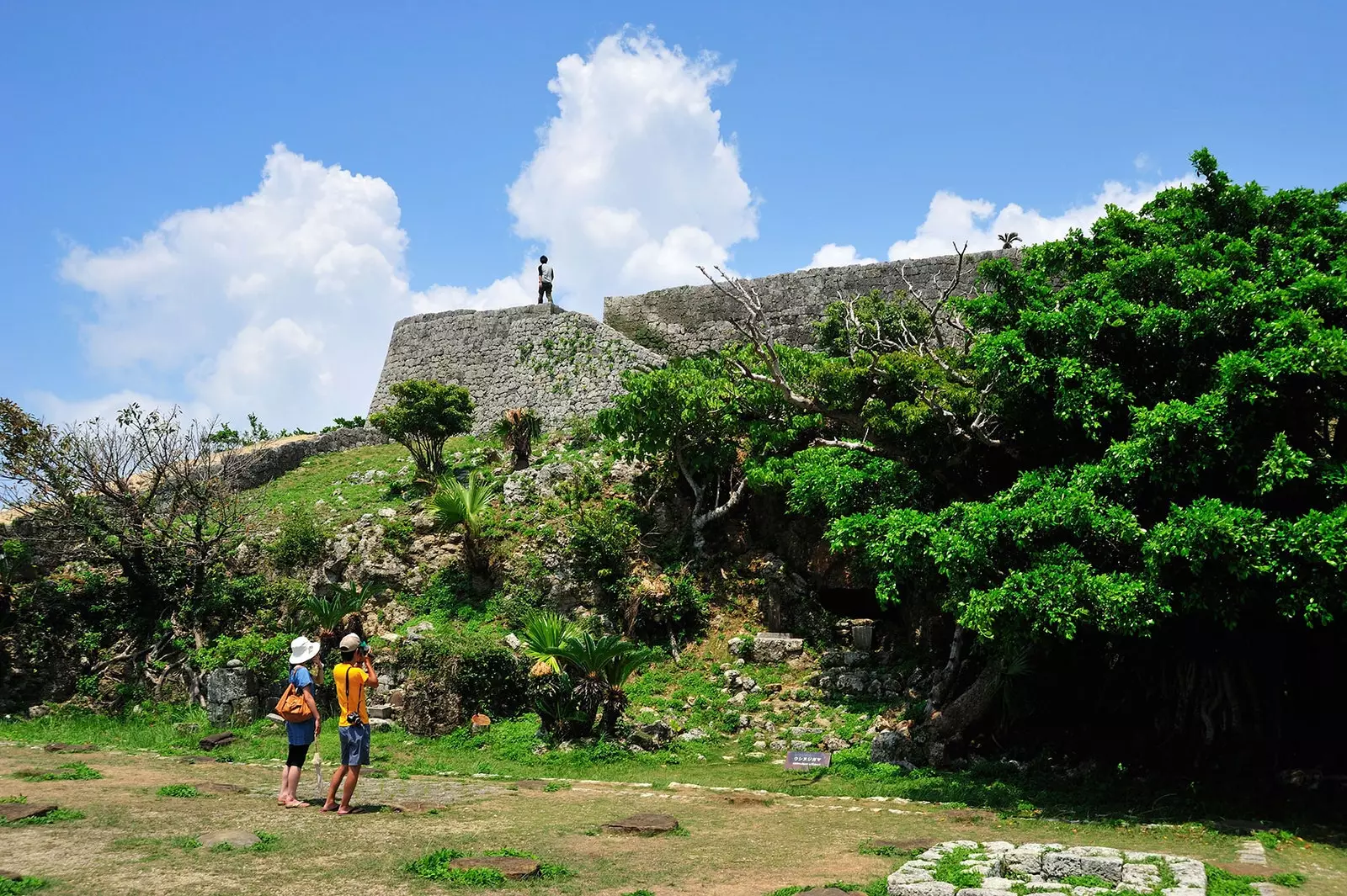 Honto din Okinawa