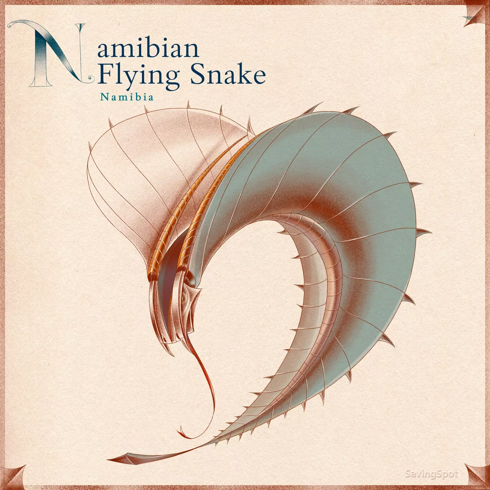 Namibian flying snake illustration.