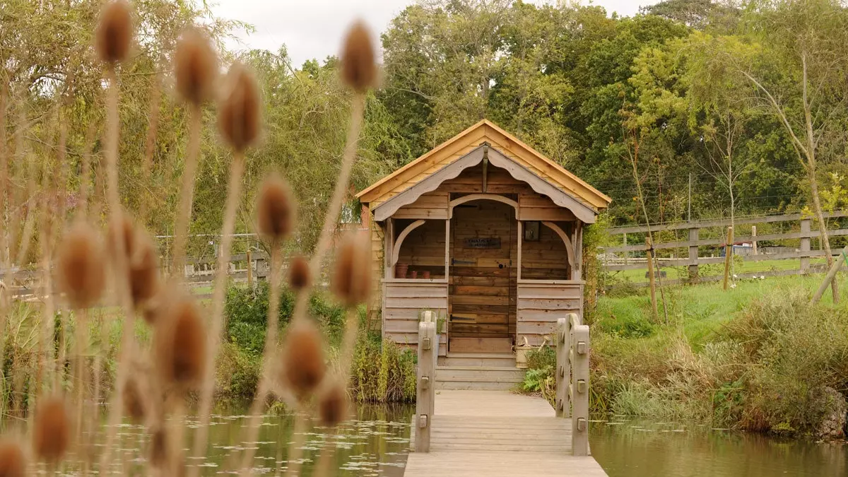 New Forest: den villeste siden av det engelske landskapet