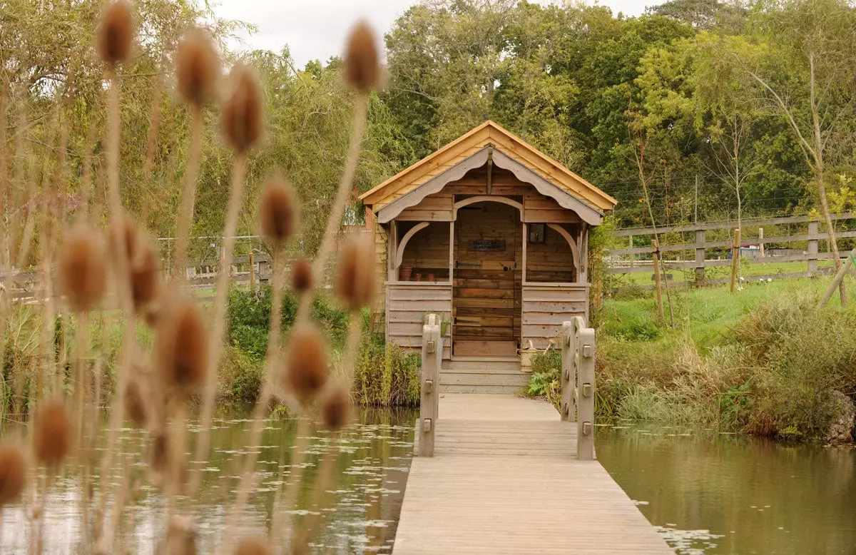 Anglia, której się nie spodziewasz, znajduje się w New Forest